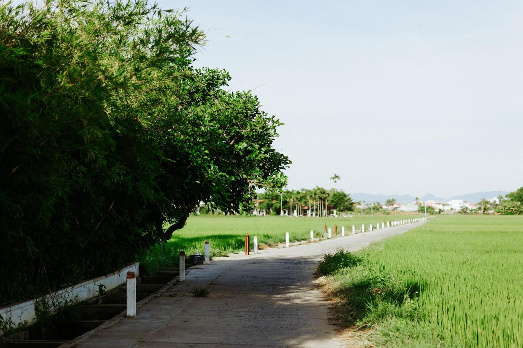 Heron House ฮอยอัน ภายนอก รูปภาพ