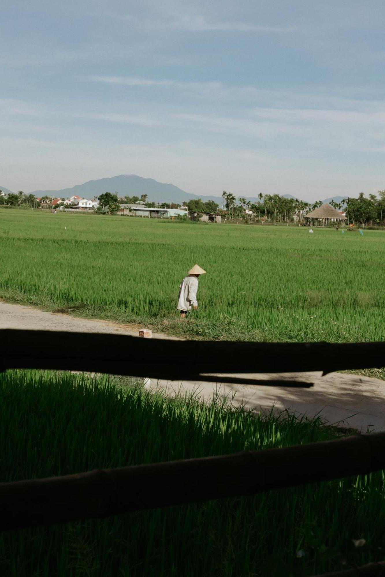 Heron House ฮอยอัน ภายนอก รูปภาพ