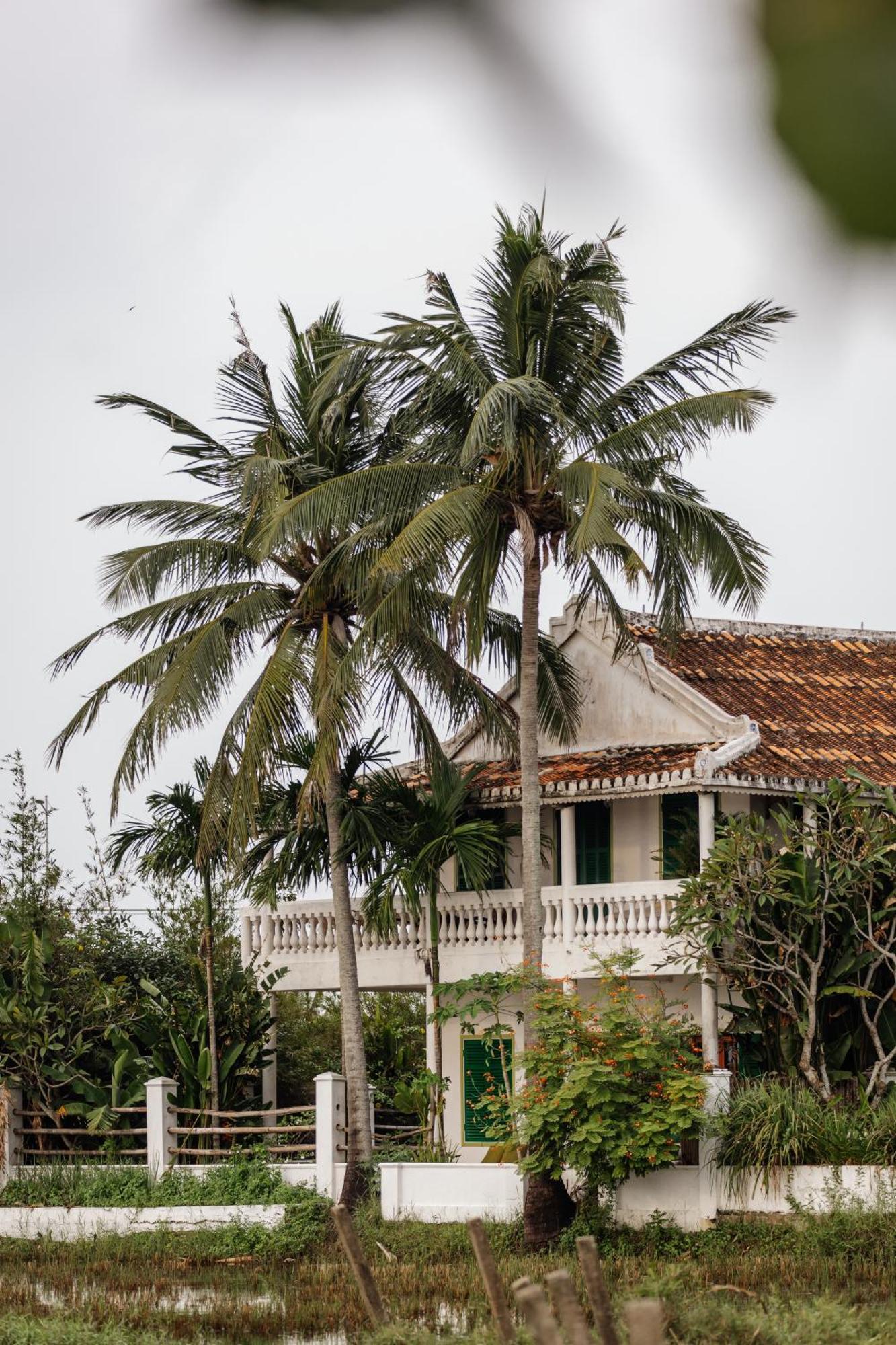 Heron House ฮอยอัน ภายนอก รูปภาพ